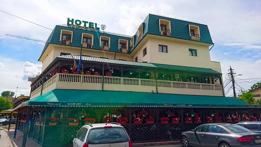 Hotel Pui De Urs Bucharest